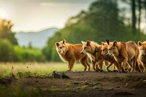 ein Gruppe von Hunde Gehen im ein Feld. KI-generiert foto