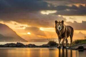 ein Löwe Stehen auf das Ufer beim Sonnenuntergang. KI-generiert foto