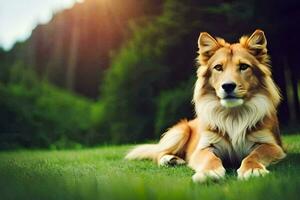 ein Hund Verlegung auf das Gras im das Sonne. KI-generiert foto