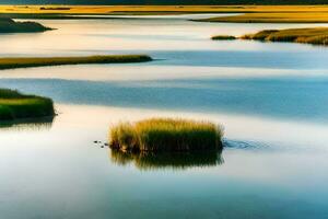 ein sumpfig Bereich mit Gras und Wasser. KI-generiert foto