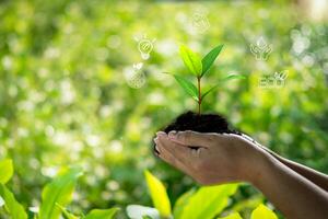 Frau halten Baum und hat Umgebung Symbol zum Öko, Erhaltung, Ökologie, nachhaltig Konzept. Erhaltung Umwelt Hilfe reduzieren global Erwärmen und speichern Ökosystem. Kopieren Raum, Natur Hintergrund foto