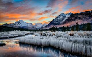 Eis Kristall Symphonie, Aufschlussreich das faszinierend Feinheiten von Frost Muster auf ein gekühlt Winter Morgen. ai generiert foto