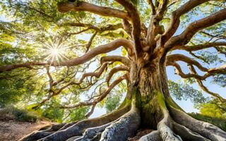 ein atemberaubend Porträt von das majestätisch Größe und zeitlos Schönheit von ein uralt knotig Baum. ai generiert foto