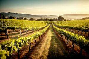 Französisch Italienisch herbstlich Weinberg Landschaft. kommerziell appellieren. reichlich Text Raum. ai generativ foto