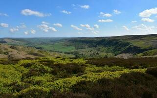 beschwingt Moorland und Moore im das Englisch Landschaft foto