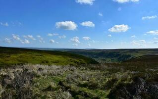 rollen Moorland Hügel und Moore im früh Frühling foto