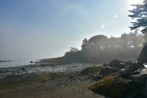 nebelig Insel im casco Bucht im Maine foto