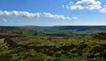 schön üppig Landschaft entlang das Küste zu Küste Route im England foto