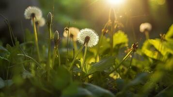 das Grün Frühling Morgen. generativ ai foto