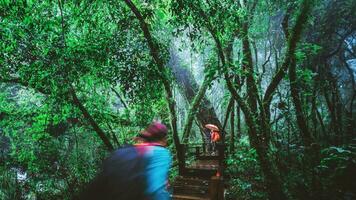 Liebhaber asiatischer Mann und asiatische Frauen reisen die Natur. naturstudie im regenwald von chiangmai in thailand. foto