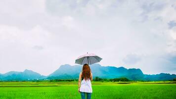 asiatische frauen reisen im urlaub entspannen. Die Frauen standen glücklich mit einem Regenschirm im Regen und genießen den Regen, der fällt. Reisen in Länder, grüne Reisfelder, Reisen durch Thailand. foto