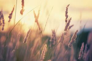 wild Gras im das Wald beim Sonnenuntergang. abstrakt Sommer- Natur Hintergrund. generativ ai foto