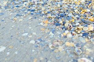 Steine und Muscheln auf Sand foto