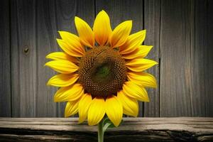 Sonnenblume. Hintergrund. ai generativ Profi Foto