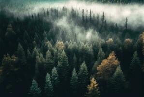 Nebel im Wald Antenne Sicht. generativ ai foto