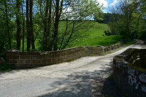 Stein Brücke durch Wälder im Nord England foto