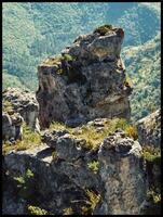 Provencal Stein Landschaft, Süd- Frankreich foto
