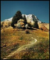 Herbst Wandern Weg im Wirsing Berg Landschaft foto