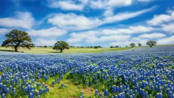 Feld Texas Bluebonnet Prärien ai generiert foto