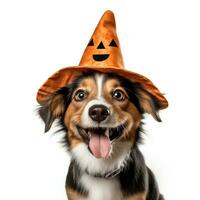 süß Hund tragen Halloween Hut, isoliert auf Weiß Hintergrund, ai generiert foto