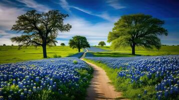 Natur Texas Bluebonnet Wanderwege ai generiert foto