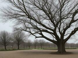 Baum schön schließen oben Bild ai generiert foto