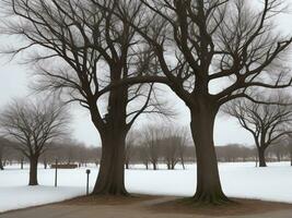 Baum schön schließen oben Bild ai generiert foto