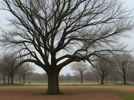 Baum schön schließen oben Bild ai generiert foto