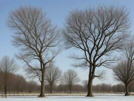 Baum schön schließen oben Bild ai generiert foto