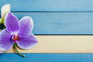 Orchidee Blume. Hintergrund. ai generativ Profi Foto