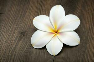 Plumeria Blume. Hintergrund. ai generativ Profi Foto