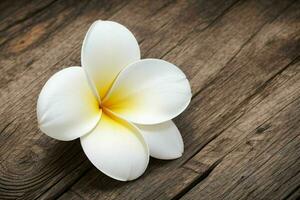 Plumeria Blume. Hintergrund. ai generativ Profi Foto