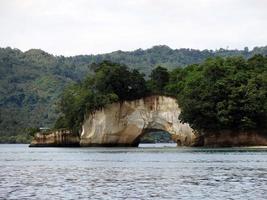 die Natur der Lembeh-Straße. foto