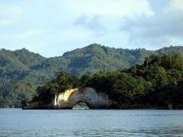 die Natur der Lembeh-Straße. foto