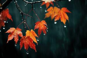 Herbst Blätter im das Regen foto