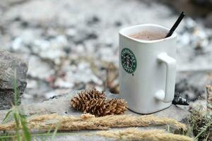 Washington, USA - - Januar 13 2023 Starbucks Kaffee Becher platziert auf Felsen um ein Camping Lagerfeuer mit Kiefer Zapfen und Schilf foto