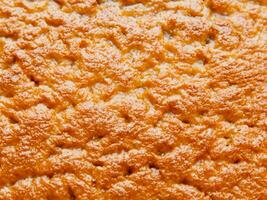 Textur von das Orange Schwamm Kuchen, Nahansicht foto