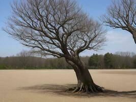 Baum schön schließen oben Bild ai generiert foto