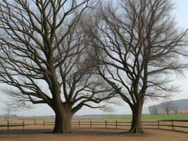 Baum schön schließen oben Bild ai generiert foto