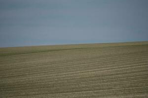 gepflügt Feld im das Morgen foto