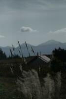 Wolken Über das Berge und Bauernhöfe foto