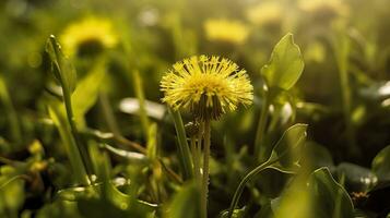 das Grün Frühling Morgen. generativ ai foto