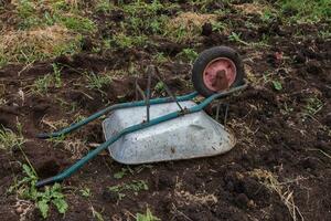 umgestürzt Schubkarre im das Garten. foto