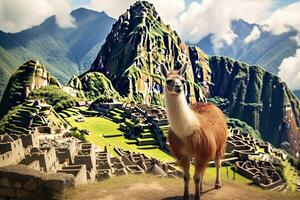 Lama auf das Hintergrund von das uralt Stadt von machu Picchu, Lama und machu Picchu, ai generiert foto