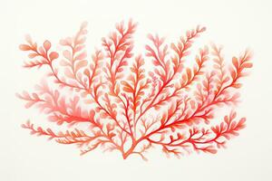 Aquarell Seetang. Hand gezeichnet Koralle Illustration isoliert auf Weiß Hintergrund, Leben Koralle Aquarell Illustration auf Weiß Papier Textur, ai generiert foto
