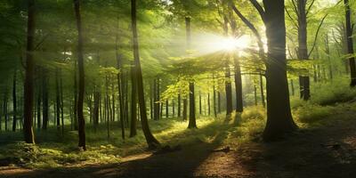 schön Strahlen von Sonnenlicht im ein Grün Wald. generativ ai foto