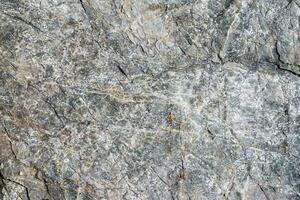 Nahansicht Makro Aussicht von grau Stein Oberfläche. detailliert Natur Muster Textur foto