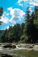 Kiefer Wald mit Berg Fluss. erfrischend Fluss Wasser fließend durch szenisch Berg Landschaft. der Natur Wandern Grube stoppen. unberührt Natur von das Karpaten. Murmeln von Wasser Bach foto