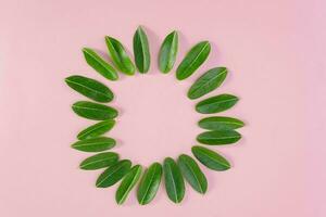 Grün runden Rahmen mit klein Blätter. dekorativ Kreis Rahmen mit tropisch Blätter auf Rosa Hintergrund. foto