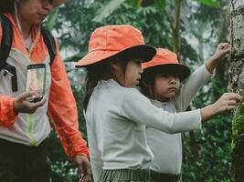 glückliche junge frau mit ihrer tochter, die zusammen auf einer exkursion in den bergen spazieren geht. Familie auf ein Wanderabenteuer durch den Wald. Eltern unterrichten ihre Kinder über Natur und Pflanzen. foto